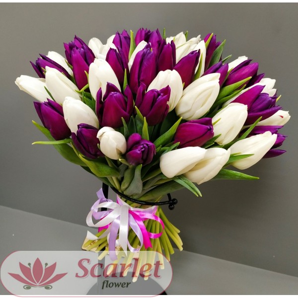 Большой букет бело-фиолетовых  тюльпанов